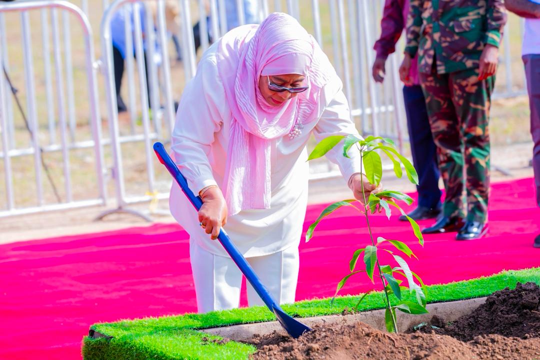 President of the United Republic of Tanzania, H.E. Dr. Samia Suluhu Hassan, planting a mango tree (Mangifera indica) at Bungi Kilimo in South Unguja Region on January 27, 2026.