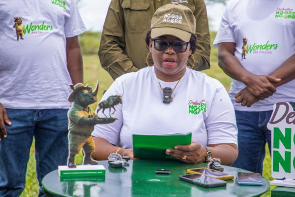 Tour guide photographing wildebeest calves during the calving season in Ndutu, Ngorongoro Conservation Area, Tanzania.