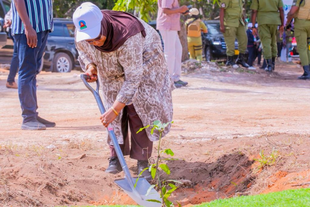 Minister for Natural Resources and Tourism, H.E. Dr. Ashatu Kijaji, planting a tree at Bungi Kilimo in South Unguja Region on January 27, 2026, during the commemoration of President Samia Suluhu Hassan’s birthday.