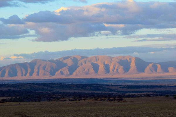 Gol Mountains rising above Ngorongoro’s short-grass plains during the rainy season, when fertile pasture attracts migratory wildebeest, zebra, and gazelle near the Sale Plains.