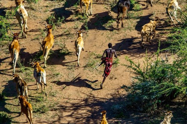 Rangers patrolling the boundary of Mwiba Wildlife Reserve in northern Tanzania, monitoring cattle movement and protecting a critical wildlife migration corridor between Ngorongoro and Serengeti.