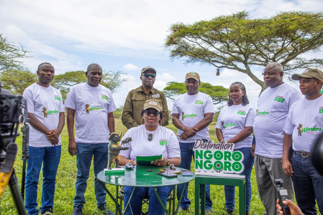 A tour guide photographing wildebeest calves during the calving season in Ndutu, Ngorongoro Conservation Area.