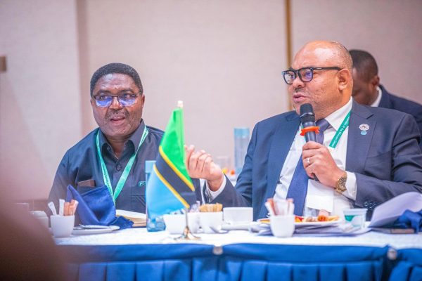 Tanzania’s Foreign Minister Mahmoud Thabit Kombo addressing a High-Level Nile Basin meeting during the African Union Summit in Addis Ababa, February 2026.