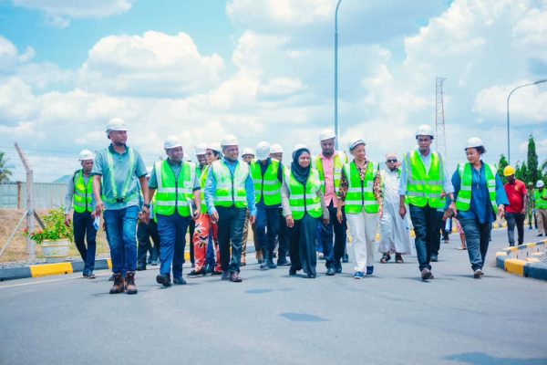 Members of the Parliamentary Standing Committee on Energy and Minerals inspecting power infrastructure at the Kinyerezi natural gas power plant in Dar es Salaam.