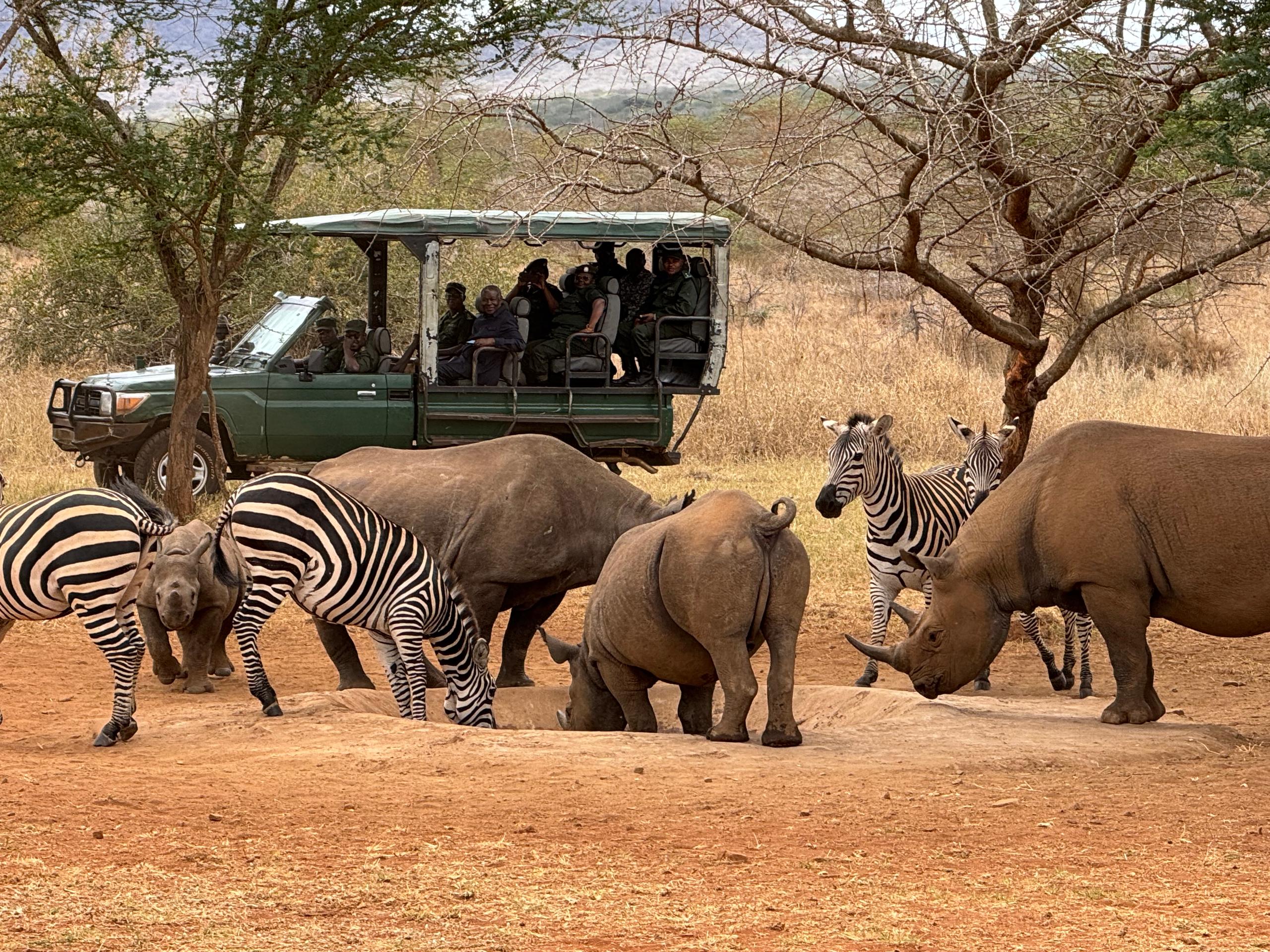 Wildlife vehicle on a game drive in Mkomazi National Park with open savannah landscape and distant mountains under a clear African sky.