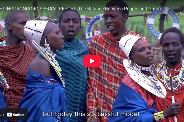 Panoramic view of the Ngorongoro Crater with wildlife grazing across the crater floor and Maasai cultural landscapes surrounding the conservation area in northern Tanzania.