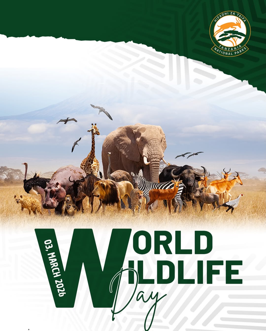 TANAPA park rangers patrolling wildlife in Serengeti National Park during World Wildlife Day celebrations in Tanzania.