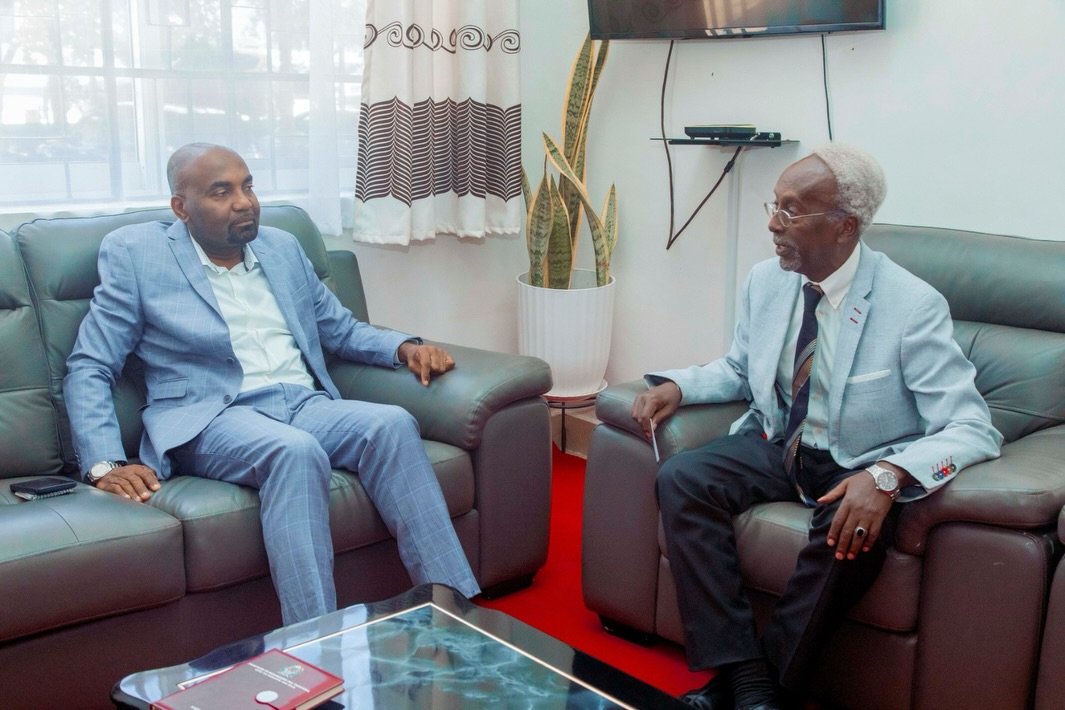 Tanzania and Djibouti officials meeting in Dodoma to discuss carbon trading cooperation and climate change initiatives