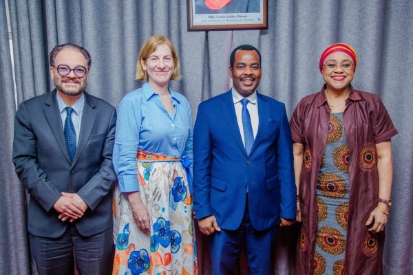 Tanzania and Austria officials in bilateral talks discussing diplomacy, security cooperation, and economic partnership in Dar es Salaam