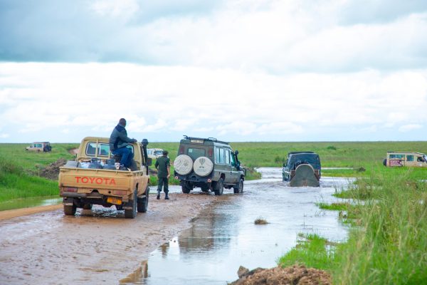 Flood-affected road infrastructure in Serengeti National Park as Tanzania plans construction of new bridges to improve safety and climate resilience.