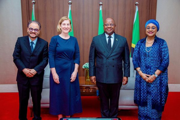 Tanzania and Austria officials meeting in Dar es Salaam to discuss cooperation in health, education, and investment sectors