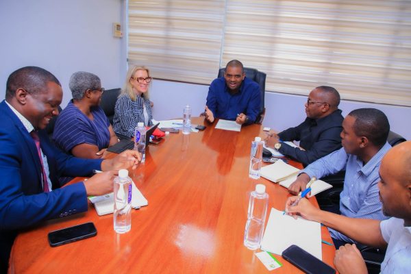 Tanzania Energy Minister Deogratius Ndejembi meeting IFC Regional Director Mary Porter in Dar es Salaam to discuss energy investment and electrification initiatives