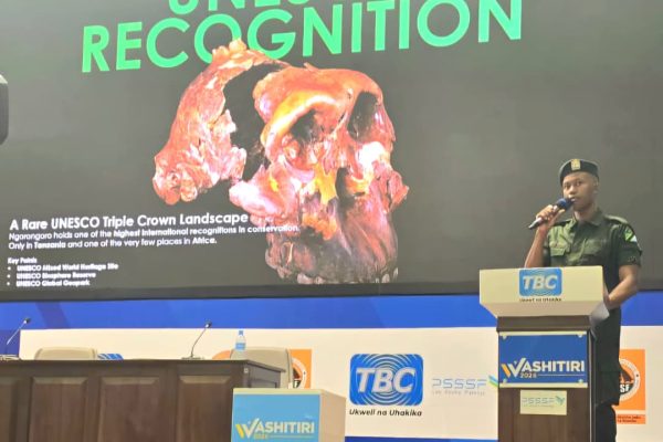 Ngorongoro Crater landscape with wildlife showcasing Tanzania’s natural heritage and significance in early human origins