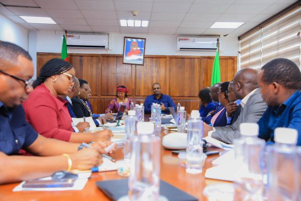 Tanzania and Malawi energy ministers meeting in Dar es Salaam to discuss petroleum transport and regional energy cooperation