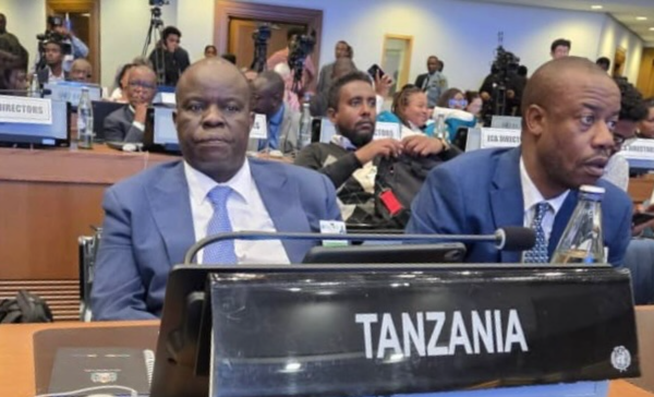 Tanzania representative Richard Muyungi attending UNECA regional meeting