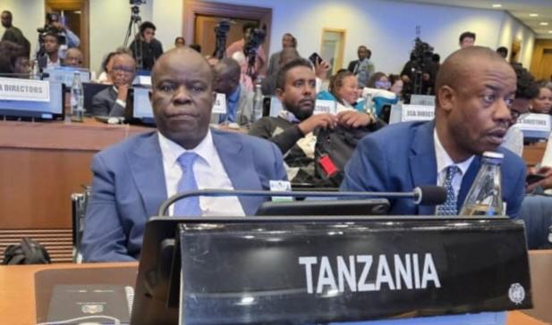 Tanzania representative Richard Muyungi attending UNECA regional meeting