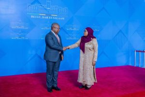 President Samia Meets Africa50 Leadership to Advance Strategic Infrastructure Investment