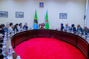 China–Tanzania Strategic Cooperation Takes Center Stage in State House Talks