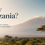 A panoramic view of Tanzania highlighting modern infrastructure, ports, natural resources, and economic activity, symbolizing the country’s emergence as a strategic investment destination supported by stability and investor-friendly reforms.
