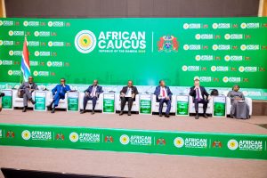 Tanzania Calls for Stronger Industrial Policies to Drive Africa’s Economic Growth